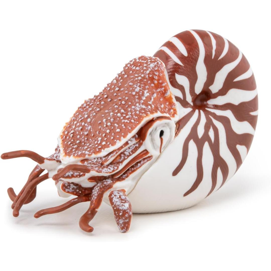 Nautilus Figurine - Hand Painted Collectible Sea Life Toy Figure - Papo