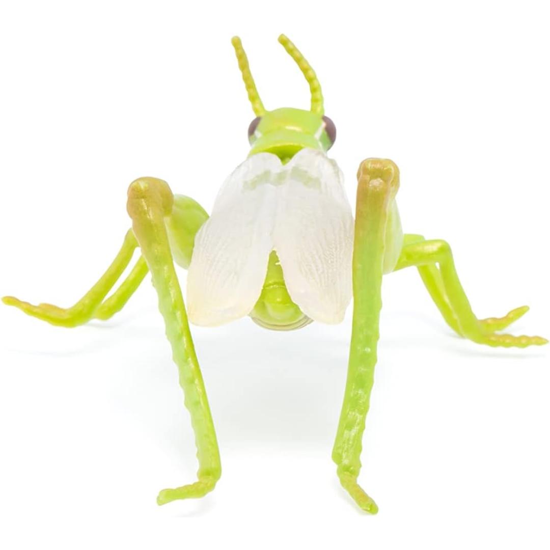 Grasshopper Figurine - Hand Painted Collectible Toy Insect Figure - Papo