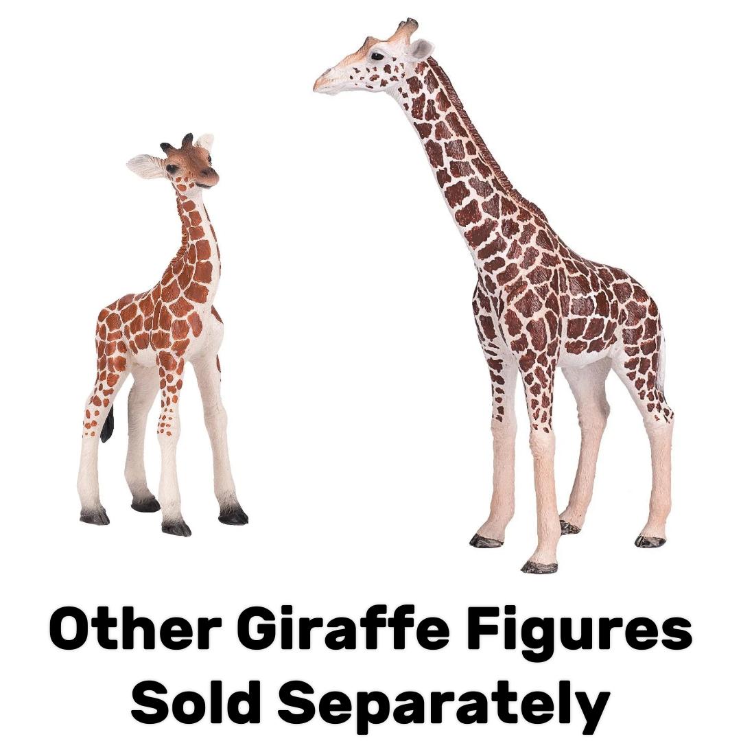 Female Giraffe - Mojo
