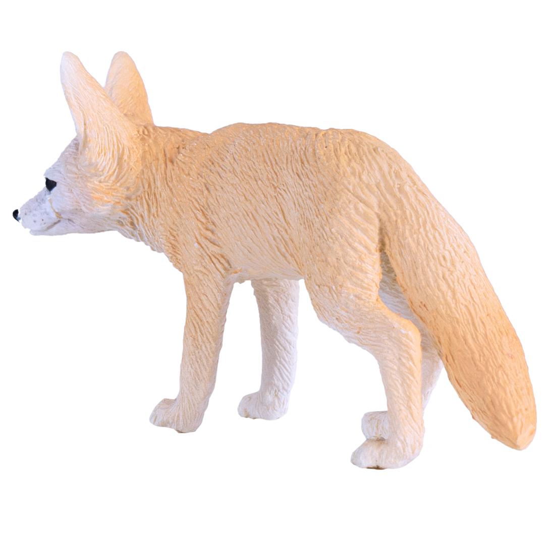 Fennec Fox - Mojo