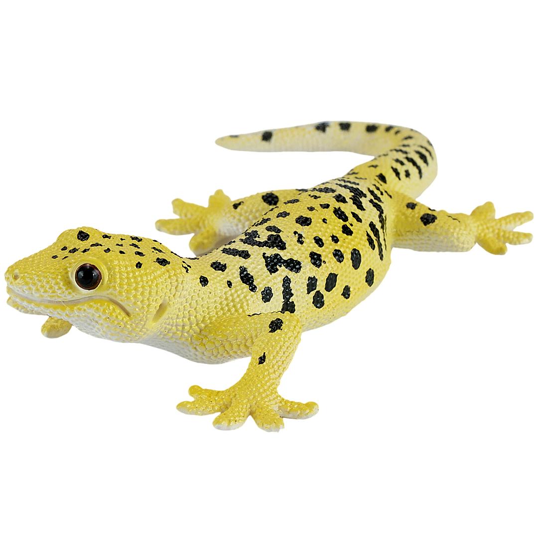 Leopard Gecko - Mojo