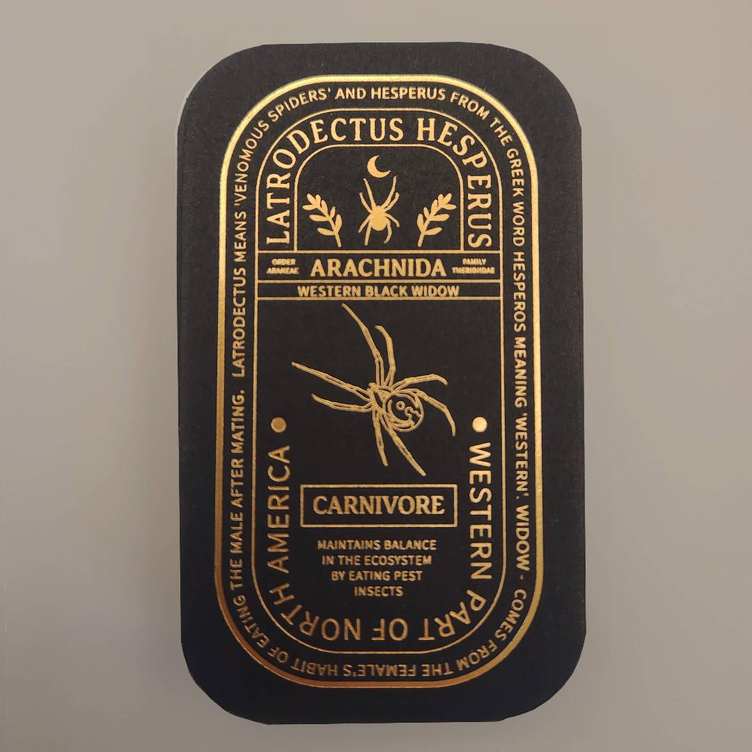 Western Black Widow Enamel Pin - Pinsects