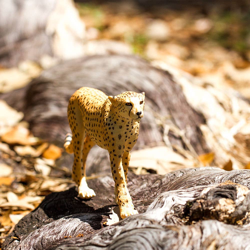 Cheetah Figurine - Hand Painted & Collectible Toy - Safari Ltd 112889