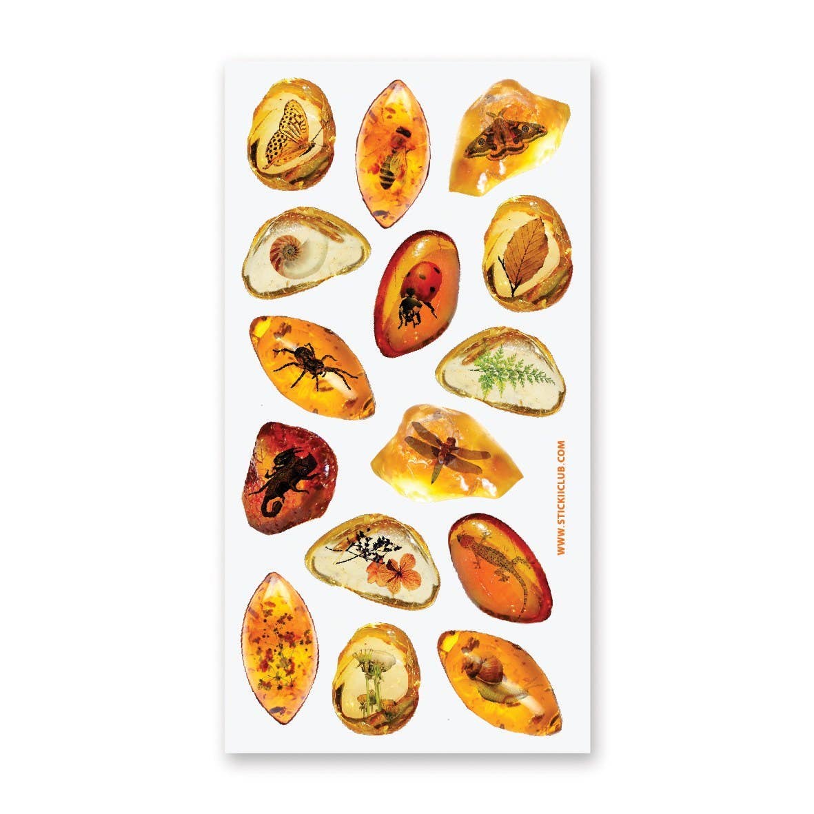 Amber Fossils - Sticker Sheet - Preserved Insects and Plants