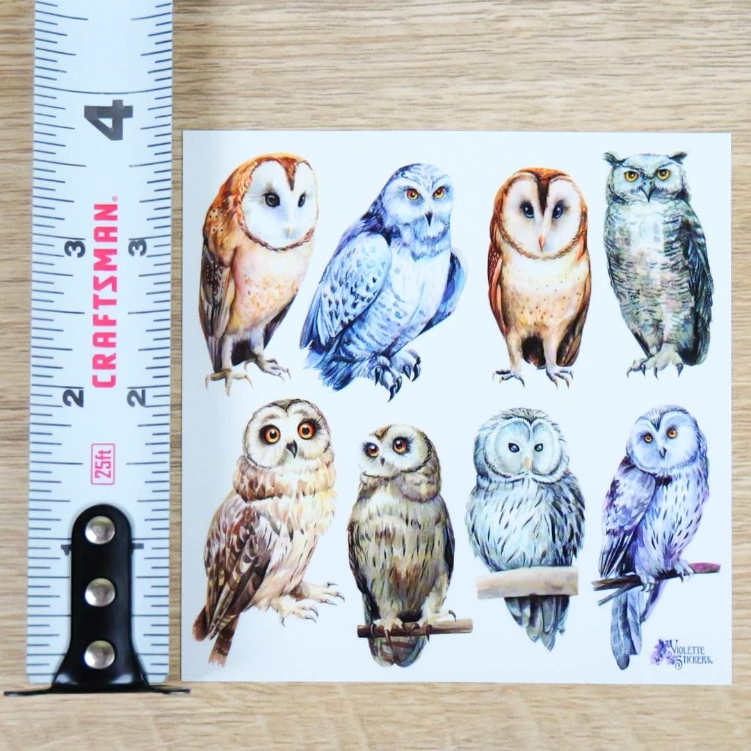 Real Owl Stickers - 2 Sticker Sheets for Stationary, Scrapbooking, & More