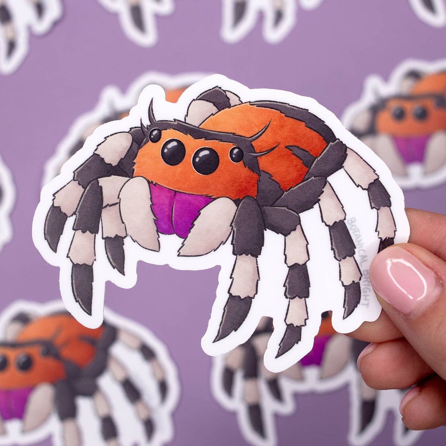 Jumping Spider Sticker - Waterproof Vinyl