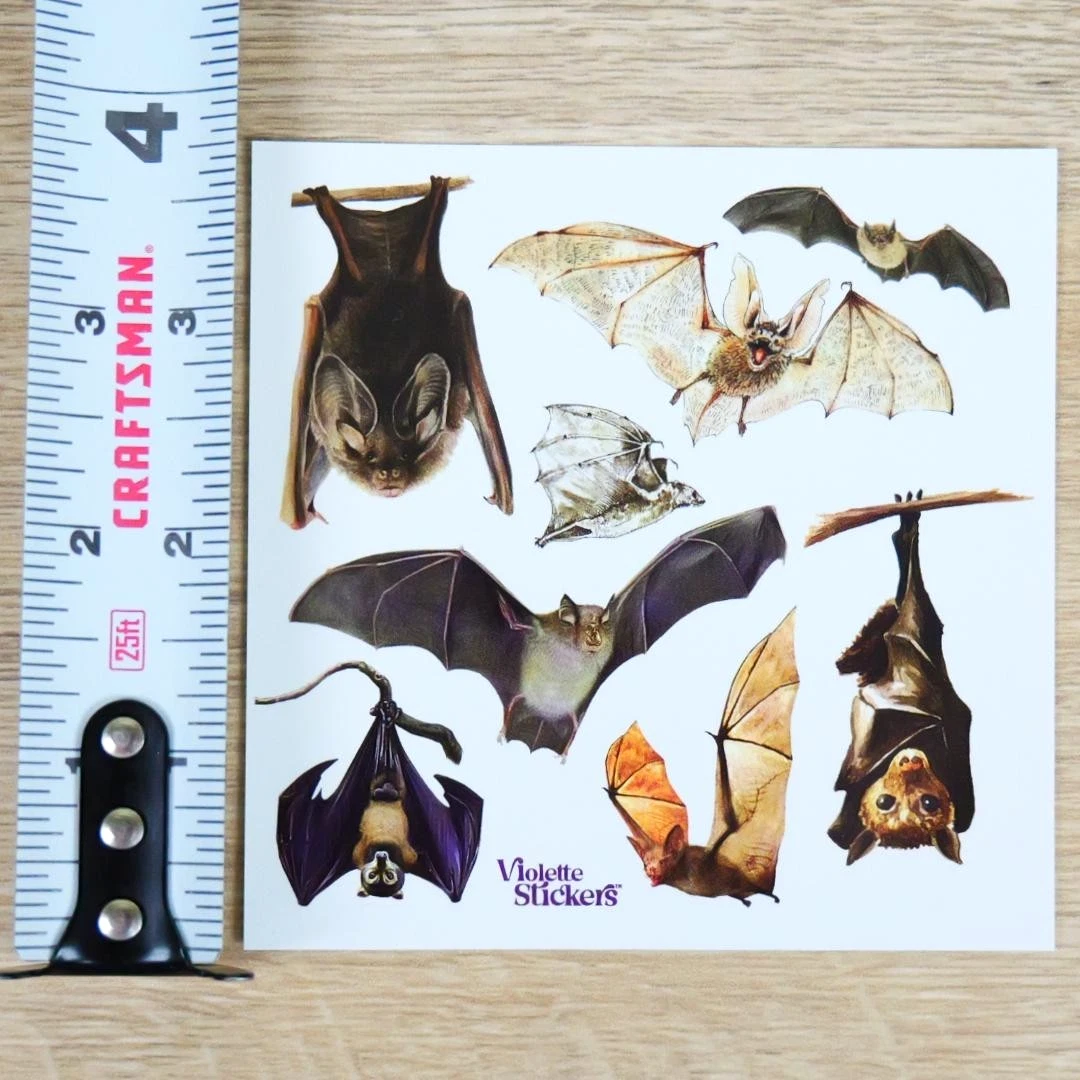 Bat Stickers - 2 Sticker Sheets for Stationary, Scrapbooking, & More