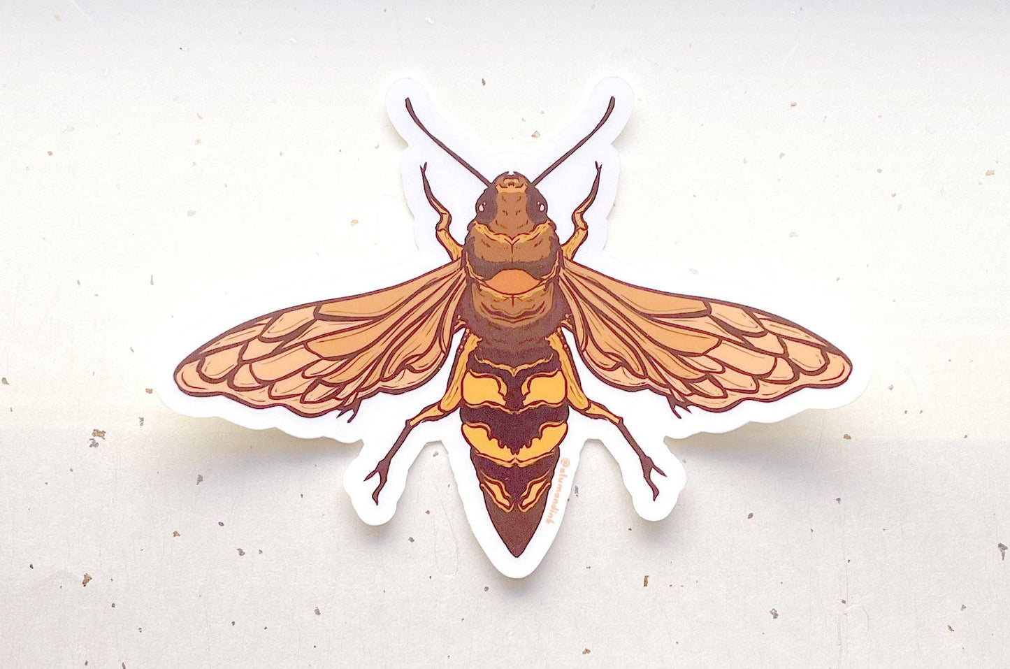 Cicada Hawk Wasp Sticker - Clear Vinyl
