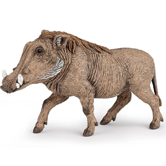 Warthog Figurine - Hand Painted Wild Animal Toy Figure - Papo 50180