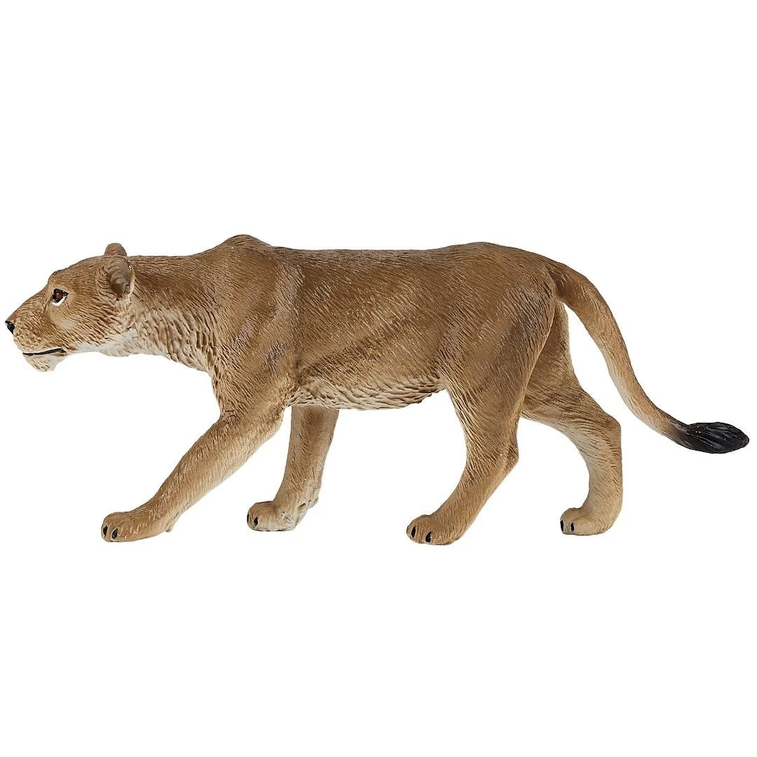 African Lioness - Mojo