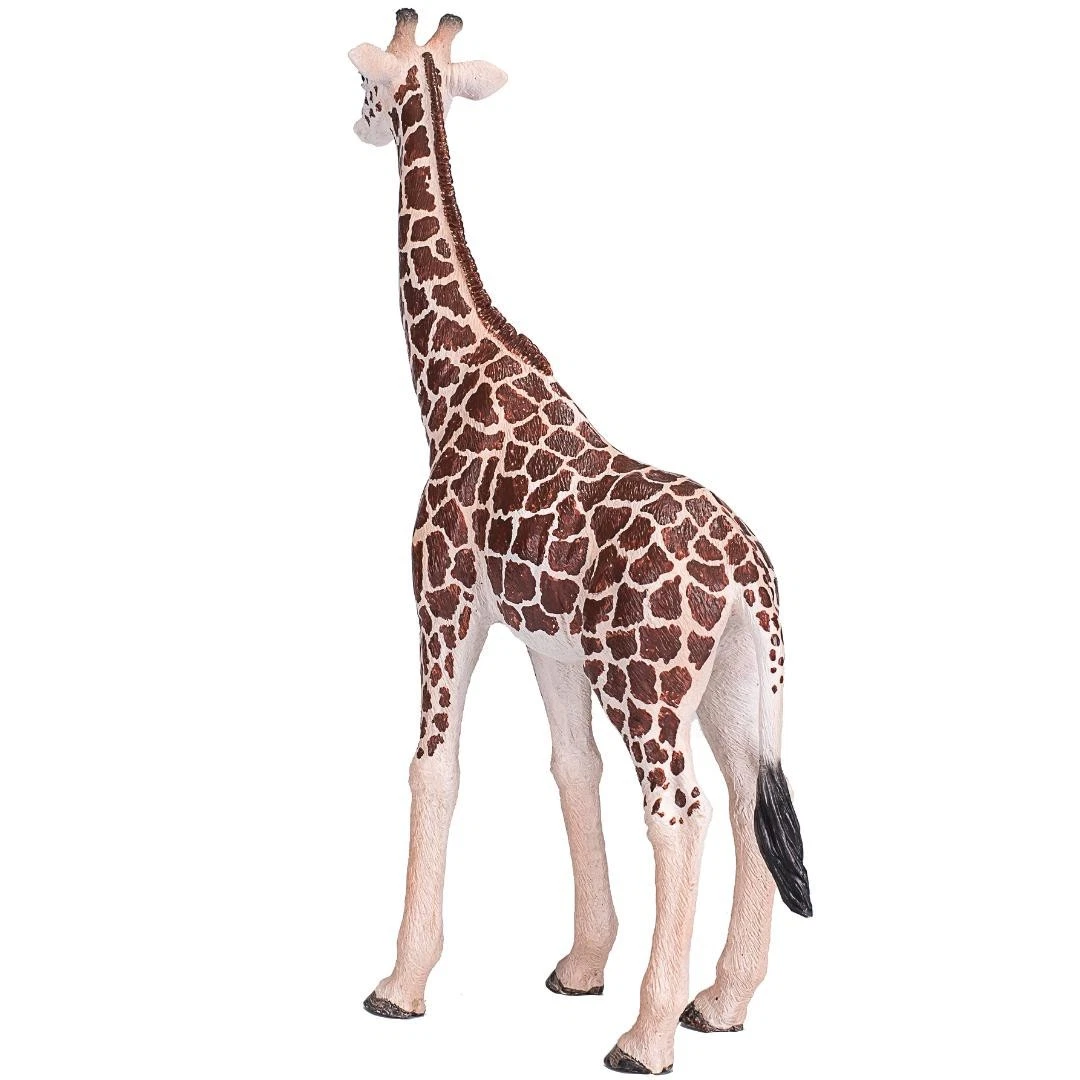 Male Giraffe - Mojo