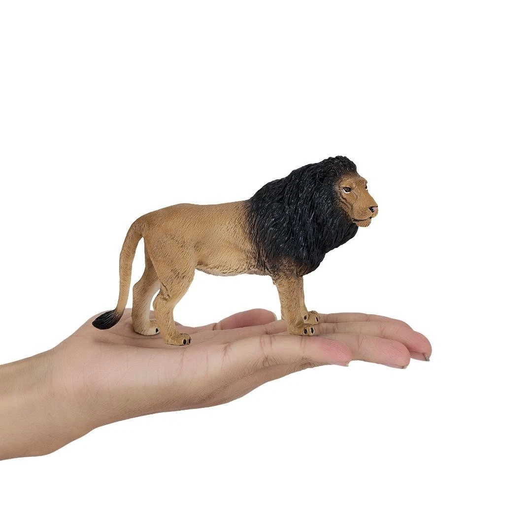 African Lion - Mojo