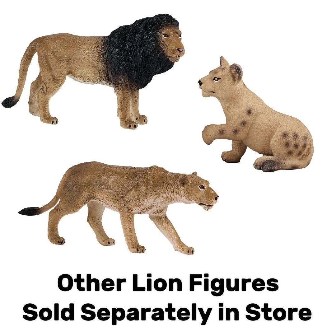 Lion Cub | Standing - Mojo