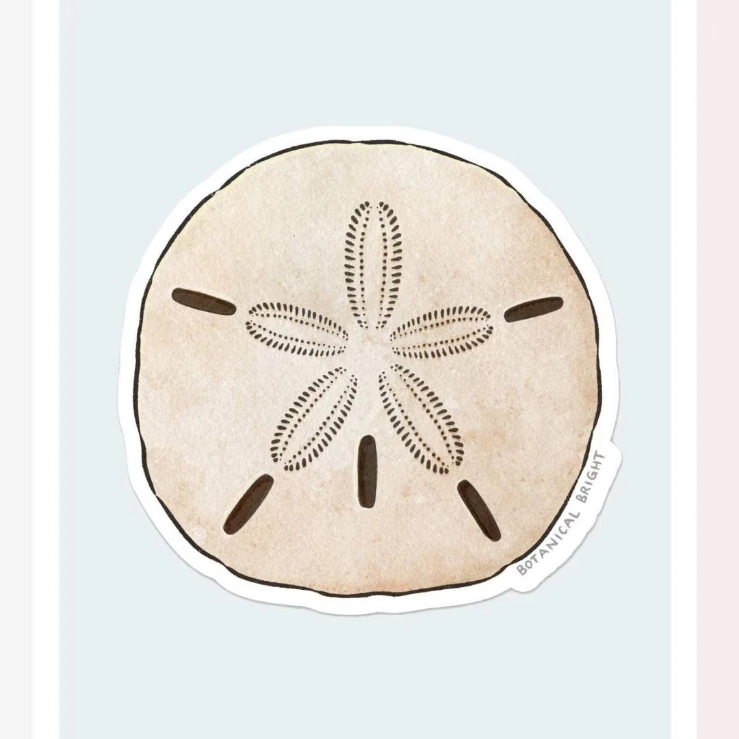 Sand Dollar Sticker - Waterproof Vinyl Beach, Ocean, & Coastal Decal