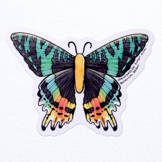 Madagascan Sunset Moth Sticker - Waterproof Vinyl