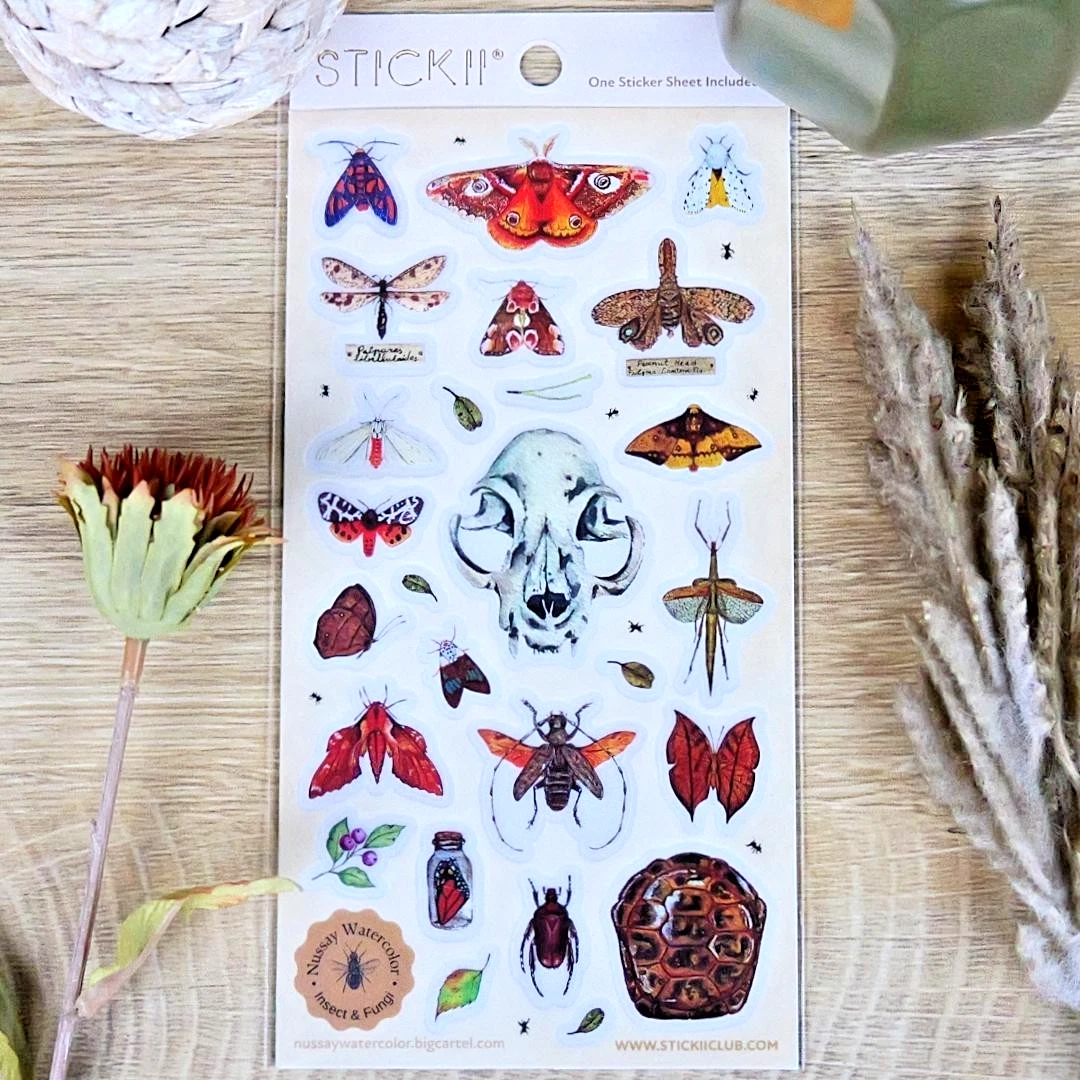 Nature Study Stickers - Animal Skull, Moths, Turtle Shell, & Insects Sticker Sheet
