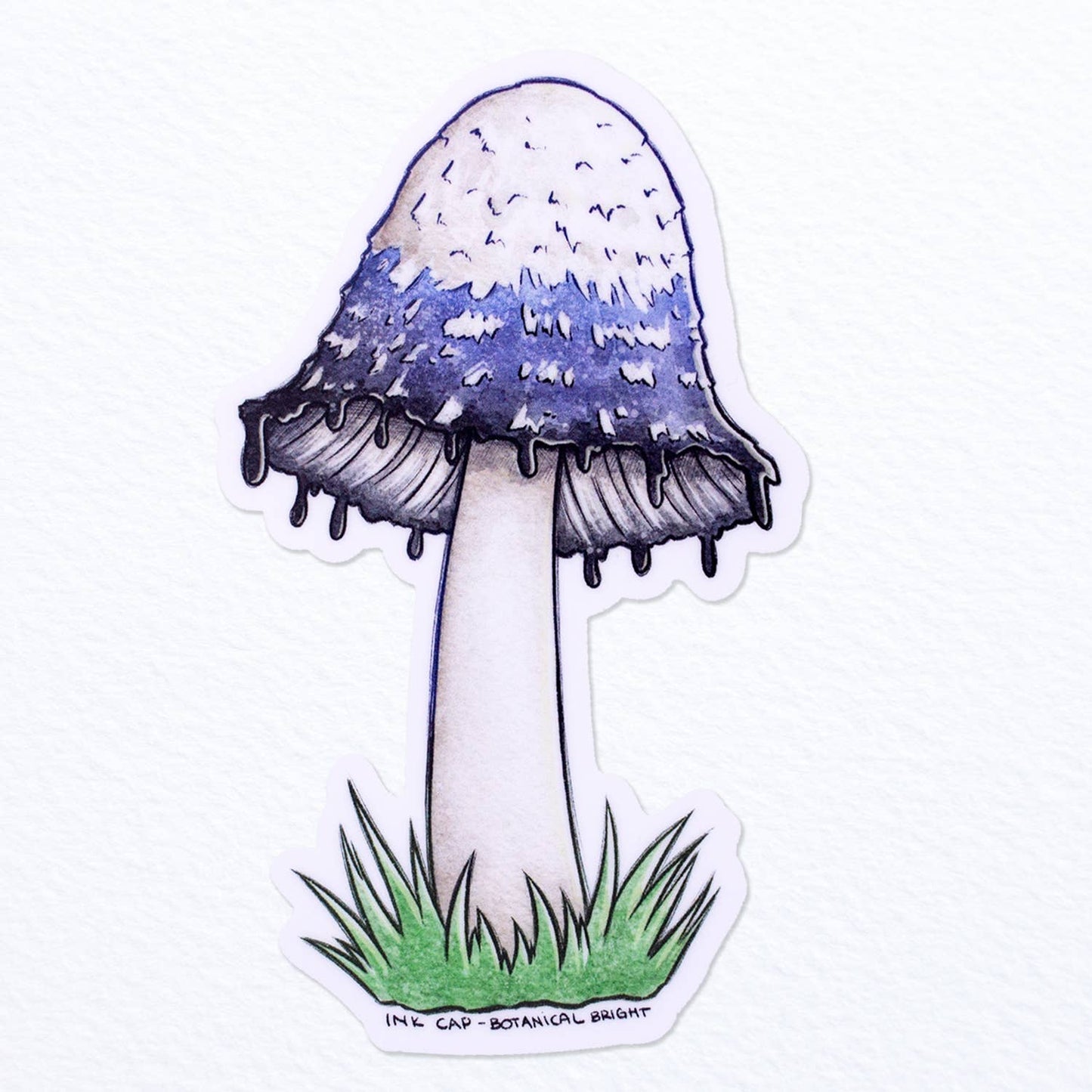 Mushroom Sticker - Ink Cap - Vinyl Waterproof