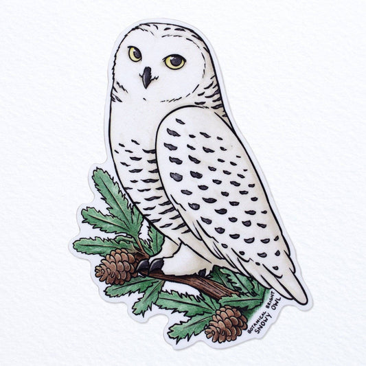 Snowy Owl Sticker - Waterproof Vinyl