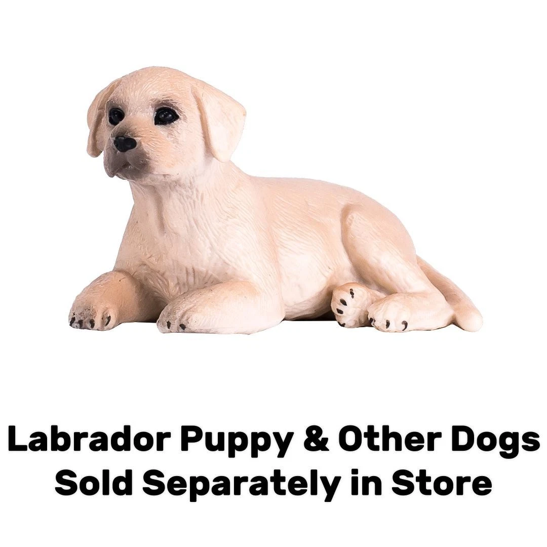 Labrador Dog - Mojo