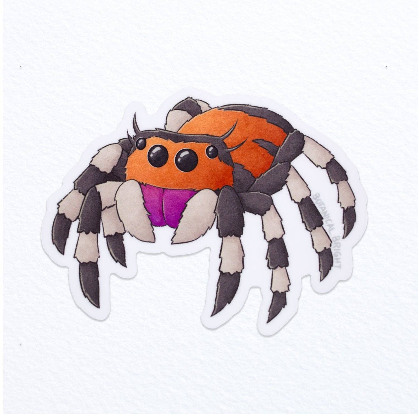 Jumping Spider Sticker - Waterproof Vinyl