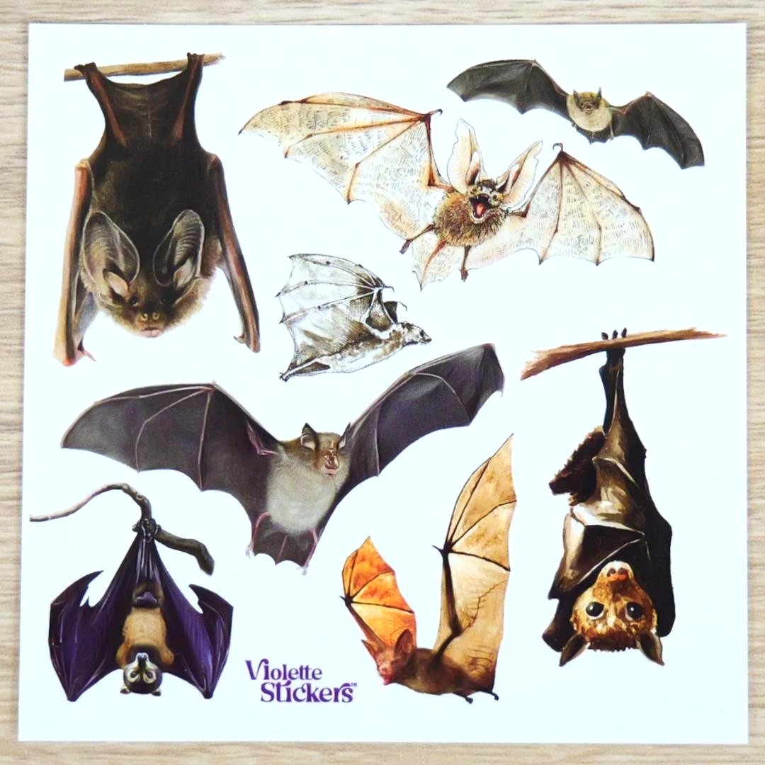 Bat Stickers - 2 Sticker Sheets for Stationary, Scrapbooking, & More