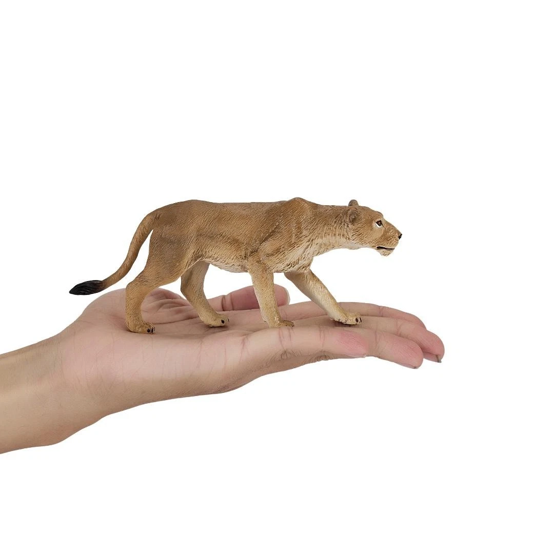 African Lioness - Mojo