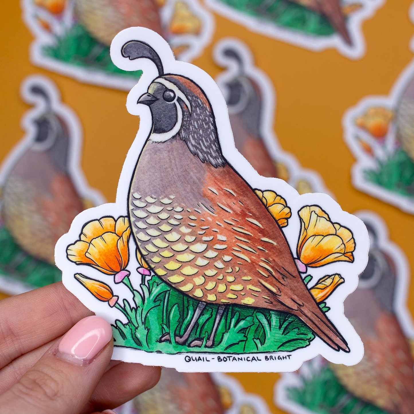 Quail Bird Sticker - Waterproof Vinyl