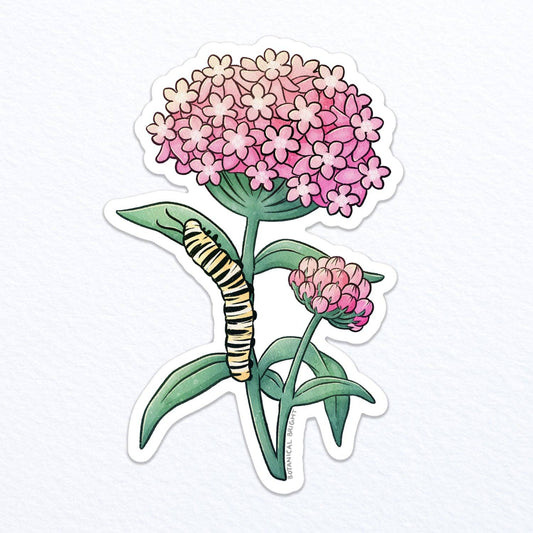 Milkweed Flower and Monarch Caterpillar Sticker - Waterproof Vinyl