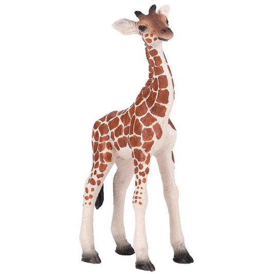 Giraffe Calf - Mojo