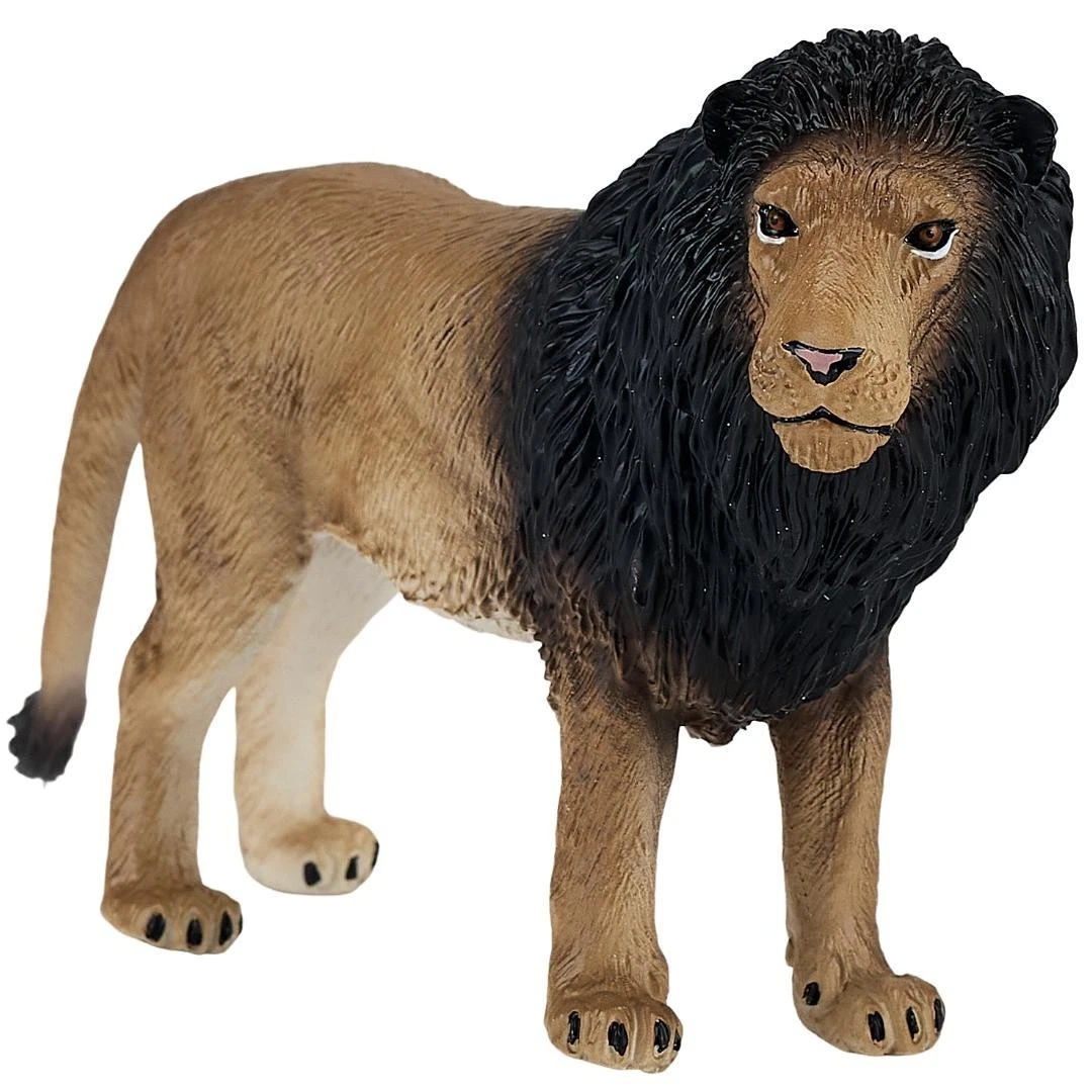 African Lion - Mojo