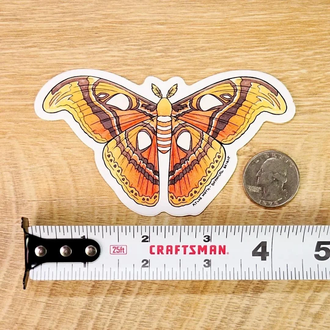 Atlas Moth Sticker - Waterproof Vinyl Nature Decal