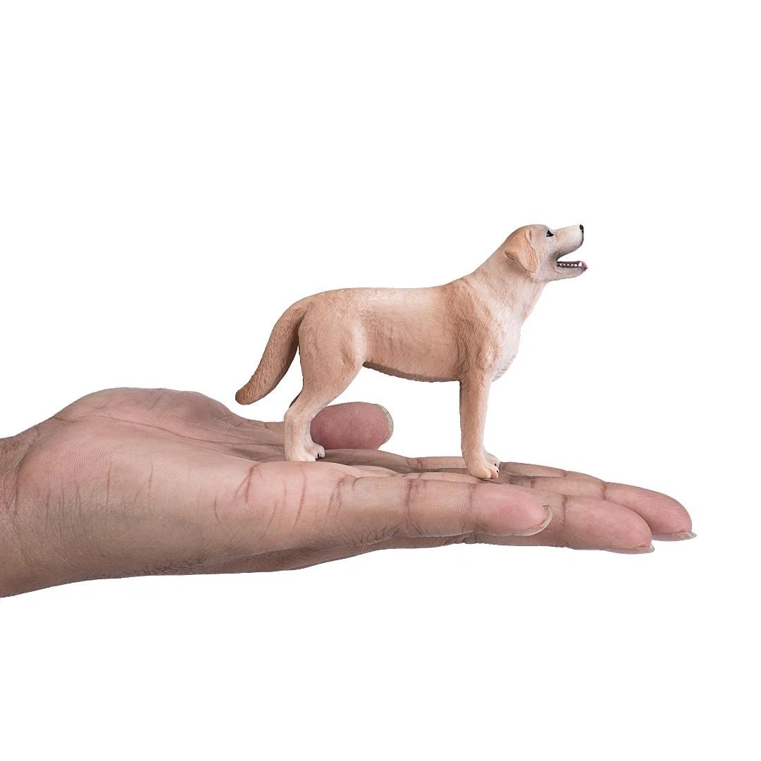 Labrador Dog - Mojo