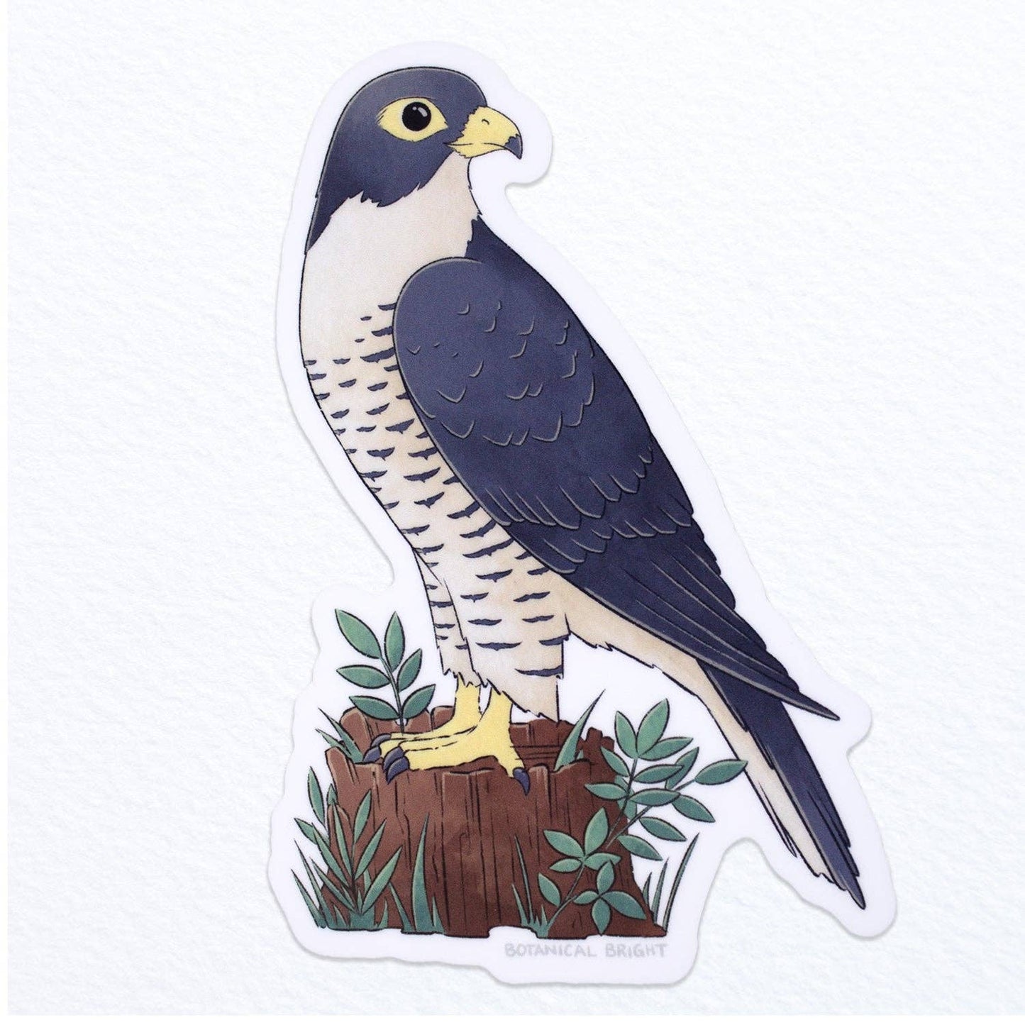 Falcon Bird Sticker - Waterproof Vinyl