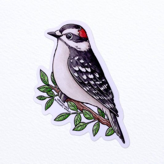 Downy Woodpecker Bird Sticker - Waterproof Vinyl
