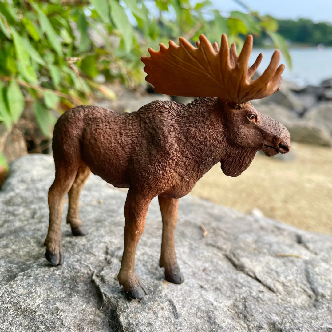 Bull Moose Figurine - Hand Painted Wildlife Toy Figure - Safari Ltd 181029