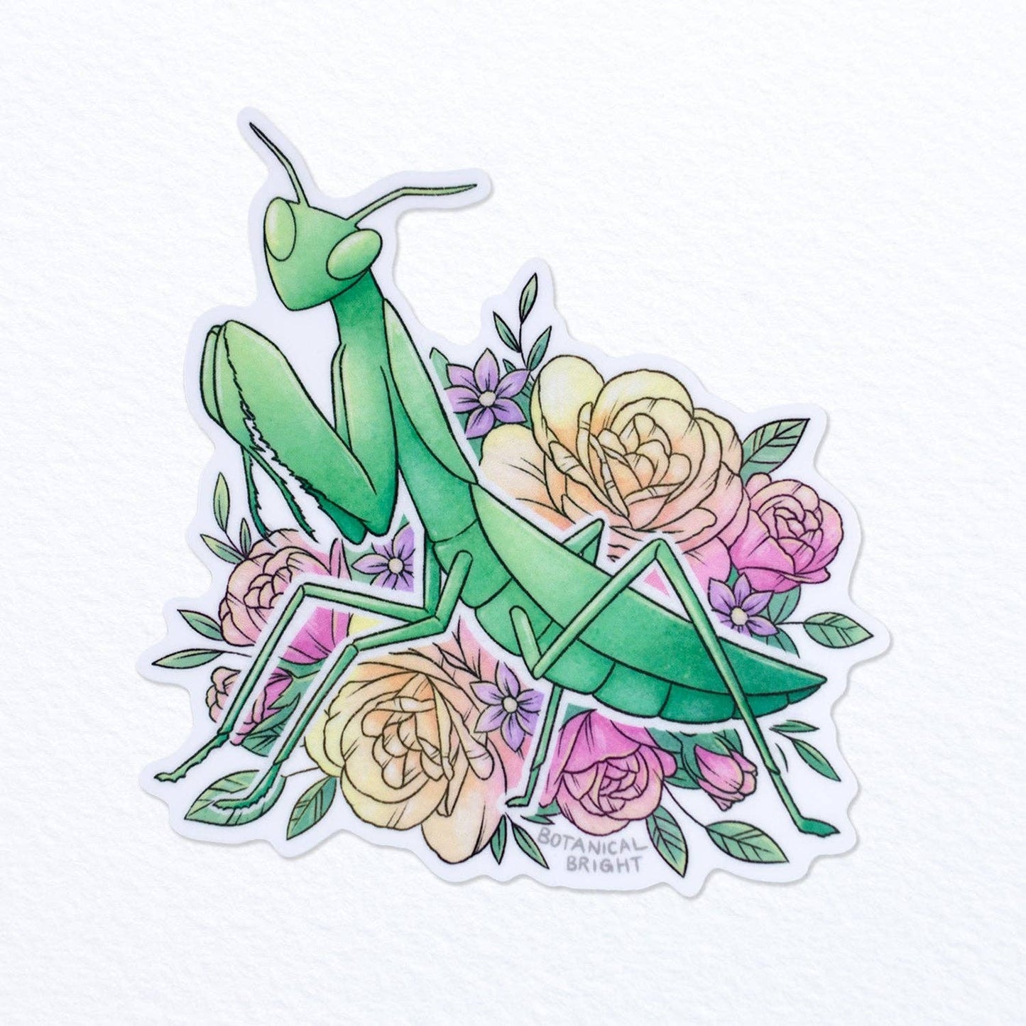 European Praying Mantis with Roses Sticker - Waterproof Vinyl