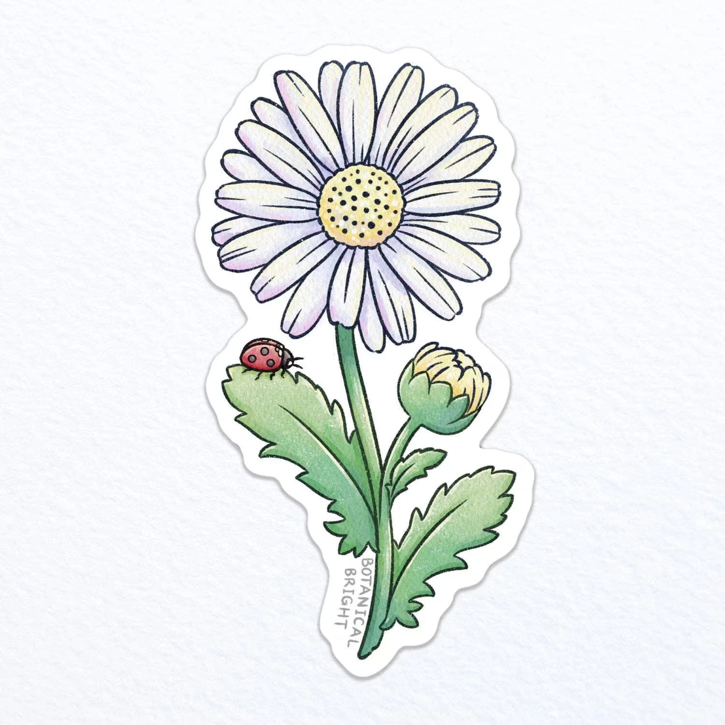 Daisy Flower with Ladybug Sticker - Waterproof Vinyl Nature Decal