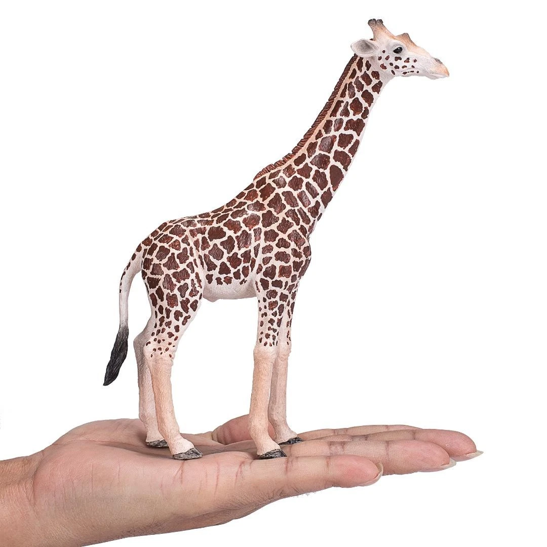 Male Giraffe - Mojo