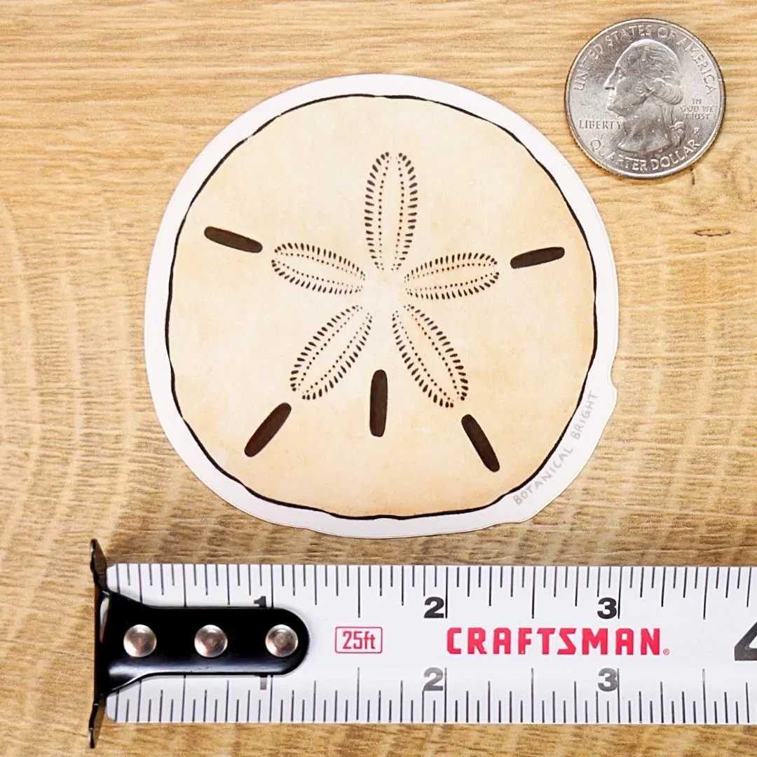 Sand Dollar Sticker - Waterproof Vinyl Beach, Ocean, & Coastal Decal