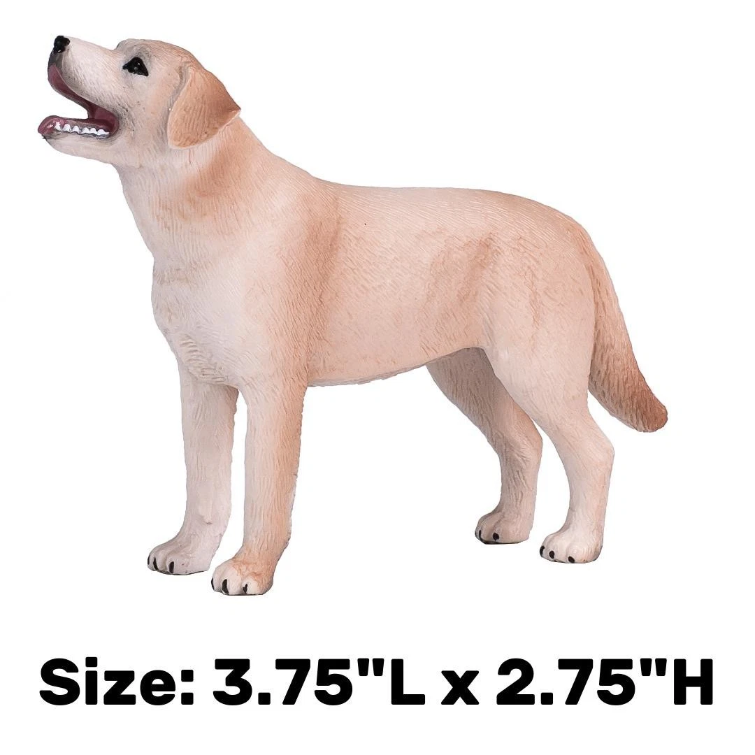 Labrador Dog - Mojo