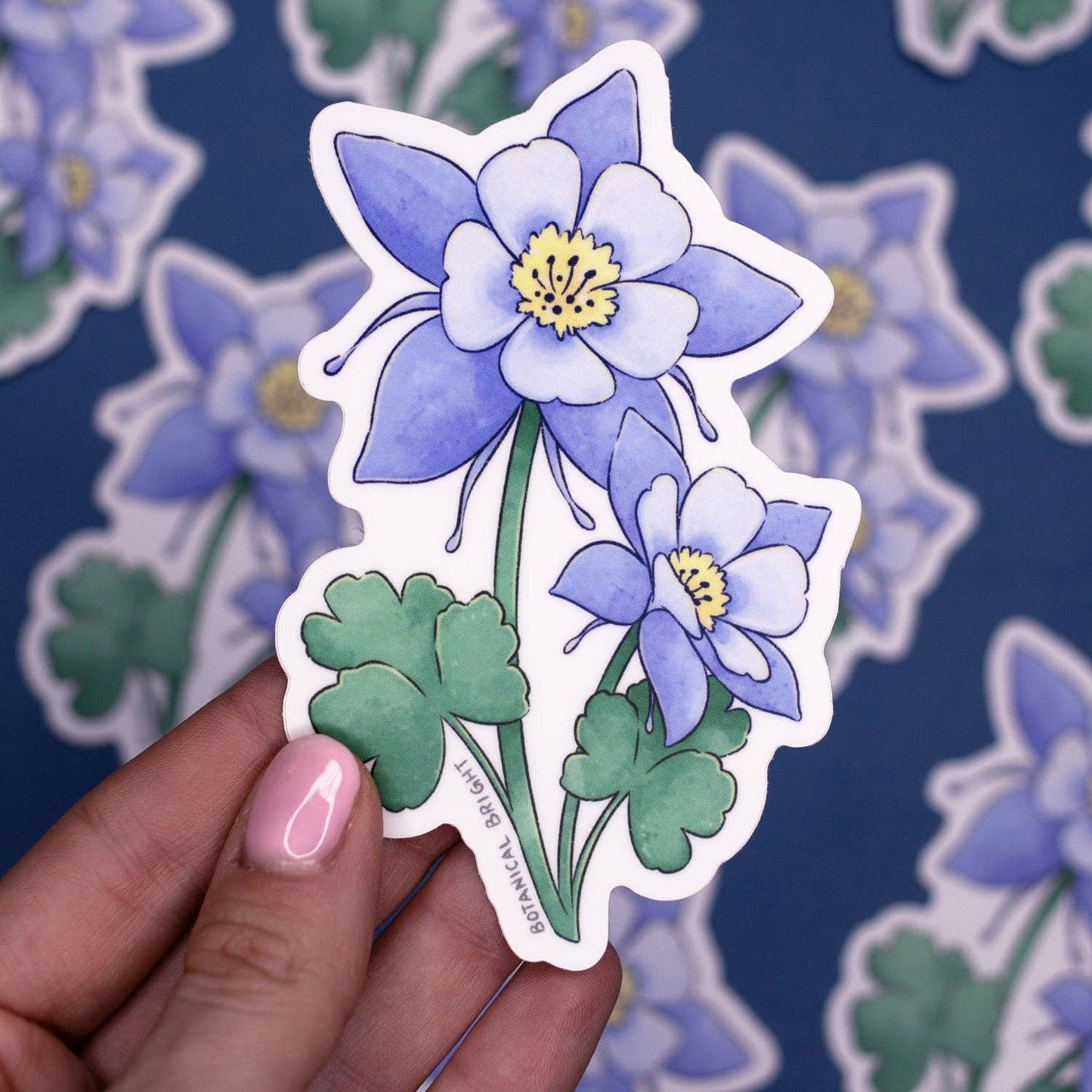 Colorado Blue Columbine Sticker - Colorado State Flower - Waterproof Vinyl