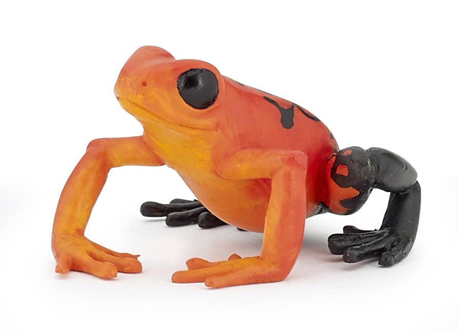 Equatorial Red Frog Figure - Hand Painted & Collectible Toy - Papo 50193