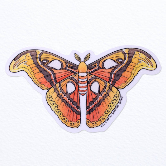 Atlas Moth Sticker - Waterproof Vinyl Nature Decal
