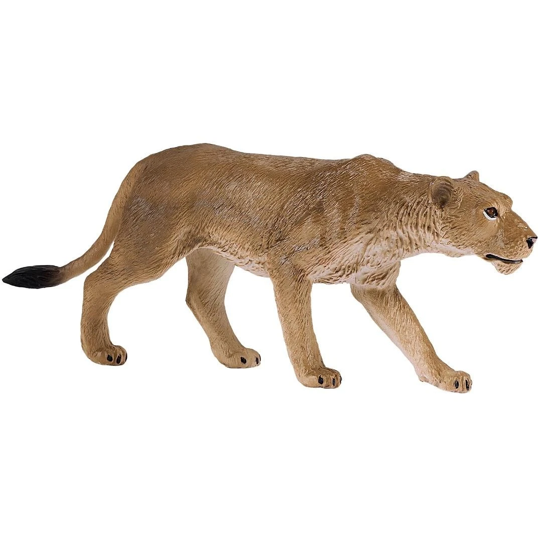 African Lioness - Mojo