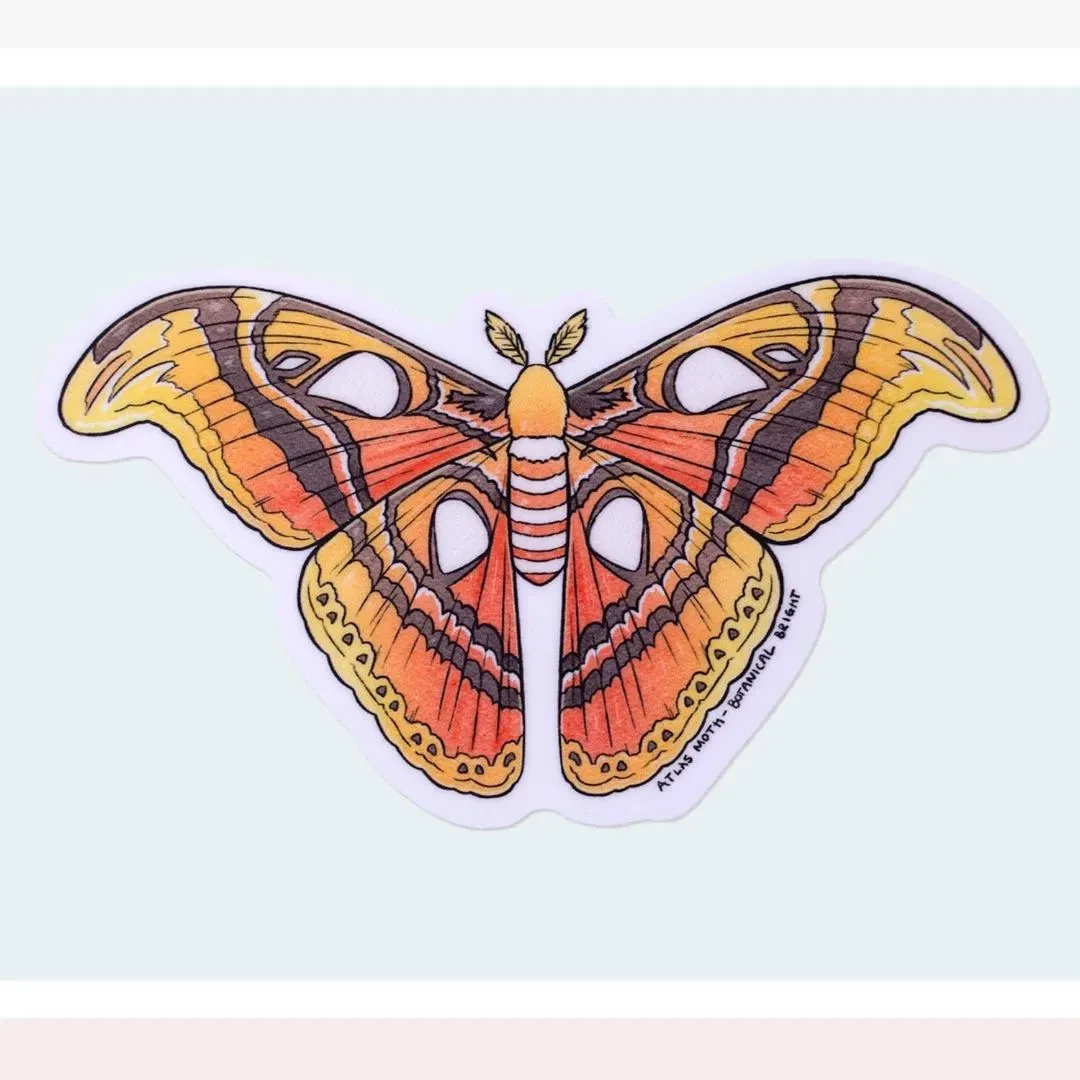 Atlas Moth Sticker - Waterproof Vinyl Nature Decal