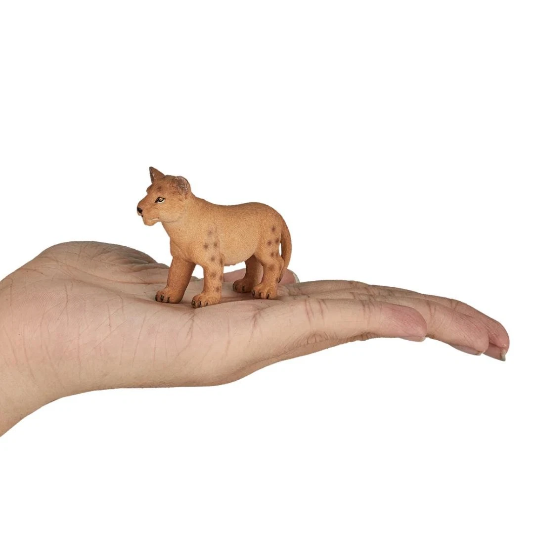 Lion Cub | Standing - Mojo