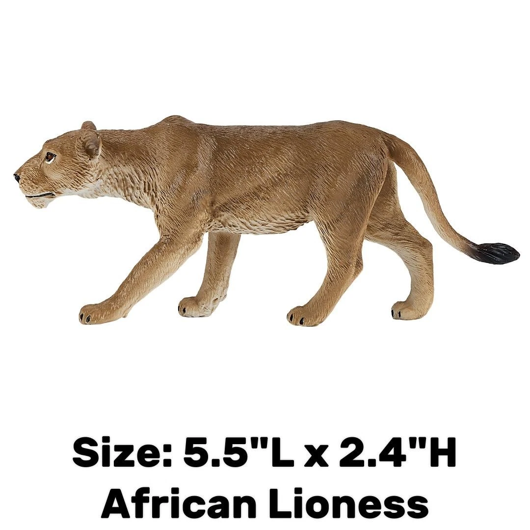 African Lioness - Mojo