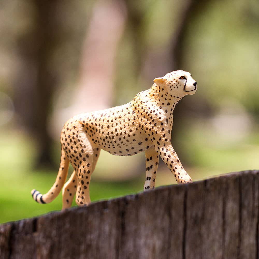 Cheetah Figurine - Hand Painted & Collectible Toy - Safari Ltd 112889