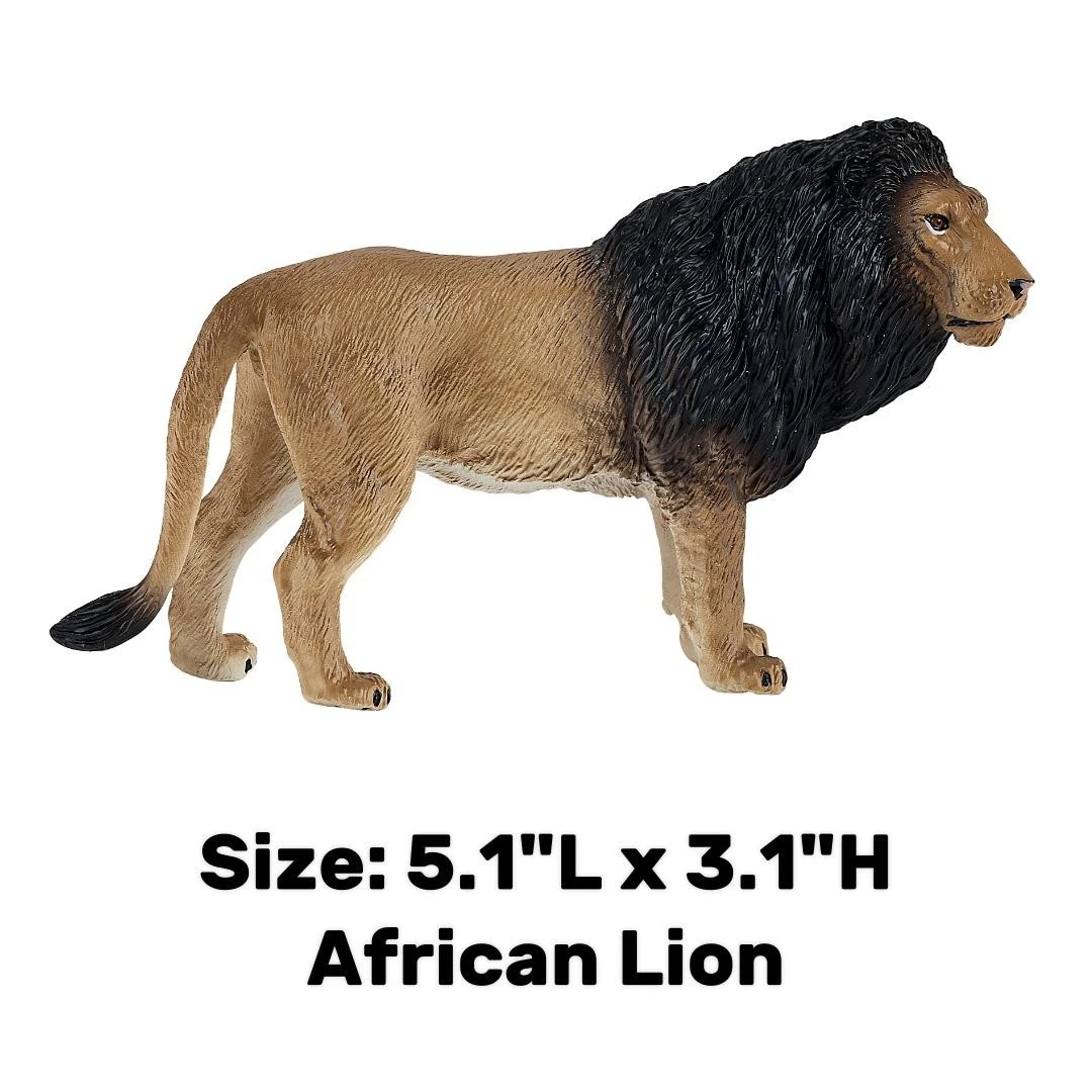 African Lion - Mojo