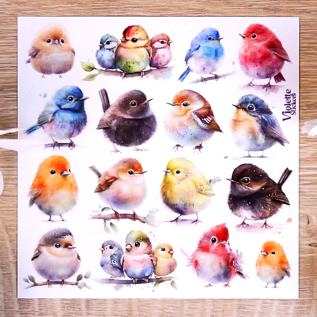 Chubby Birds Stickers - Bird & Nature Sticker Sheets